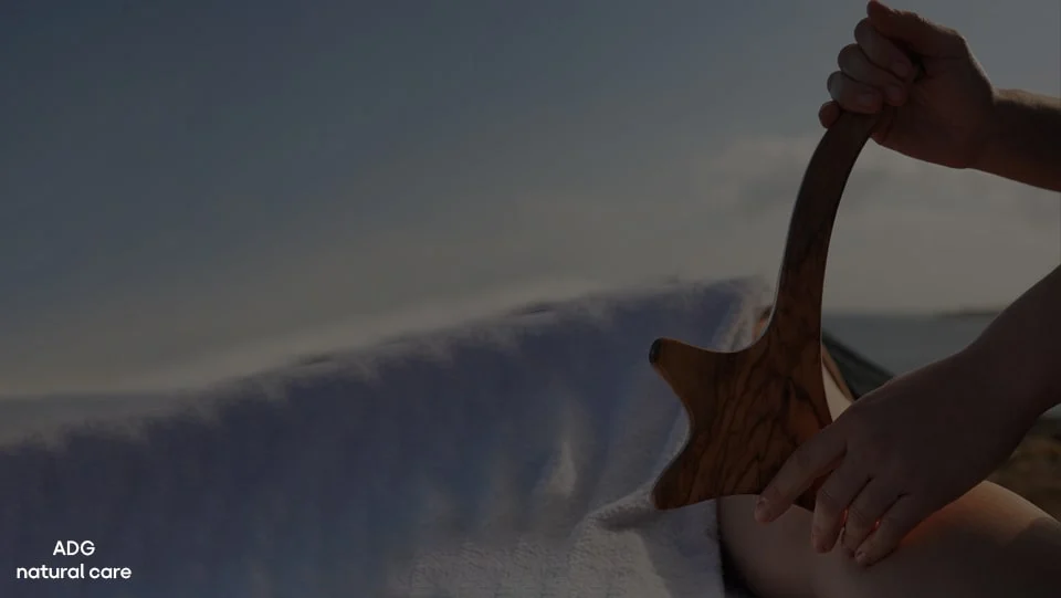 Legno Terapia (Lignum Therapy)